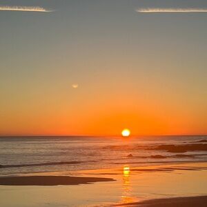 Meet your Posher, Ava